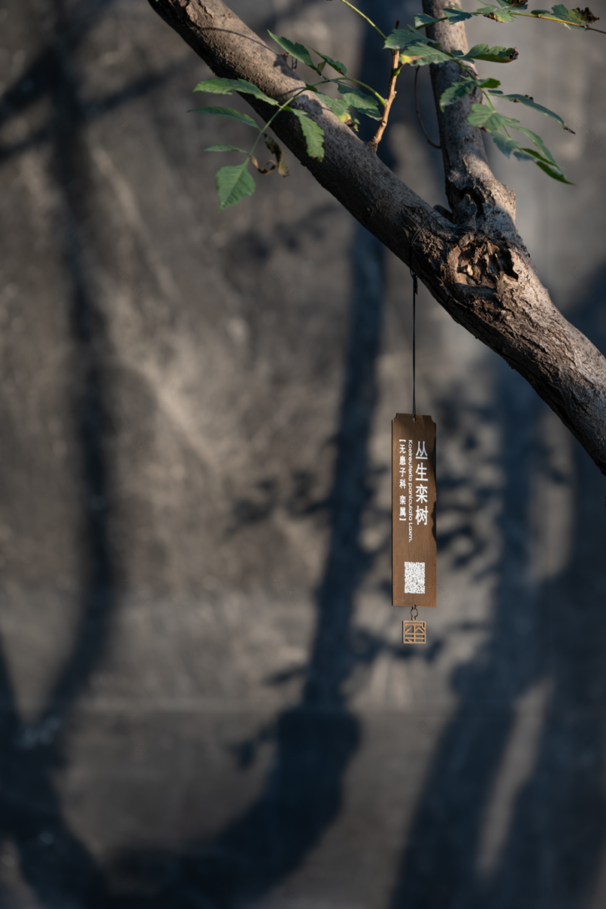 北京招商玺丨中国北京丨上海柏熙标识有限公司-23