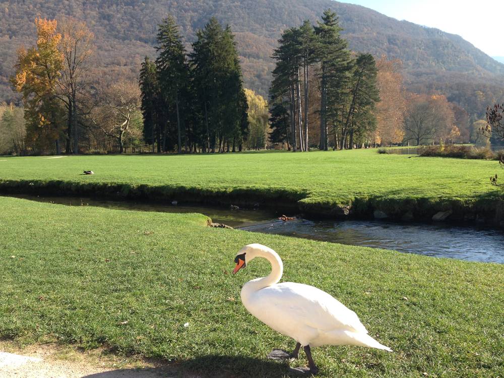 Vizille领地公园丨法国-6