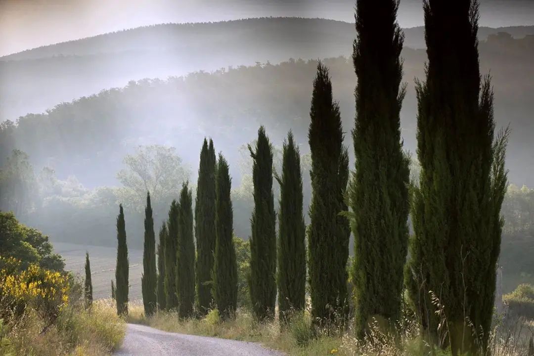 意大利千年古堡改造成奢华酒店,领略中世纪魅力-30