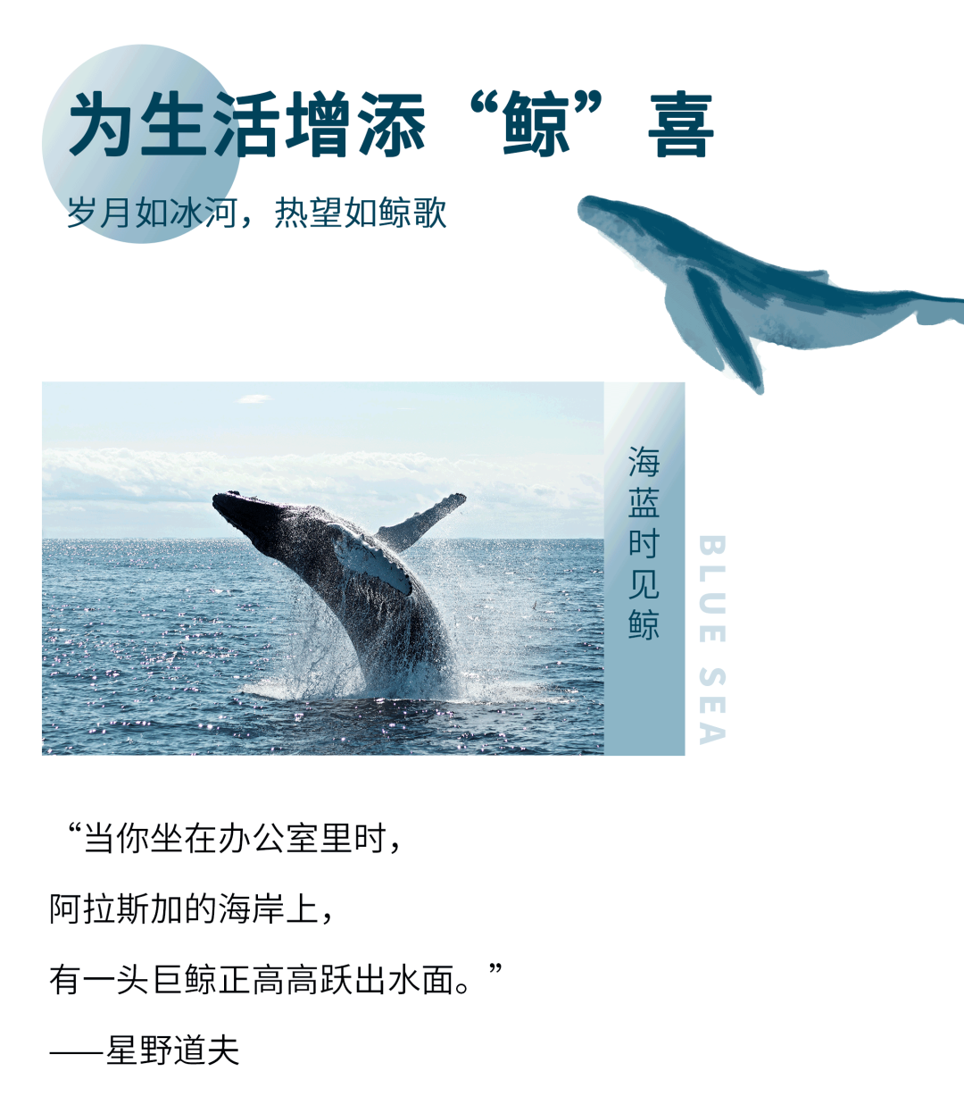 珠海滨海大都会丨中国珠海丨深圳市艾斯蒂设计有限公司-12