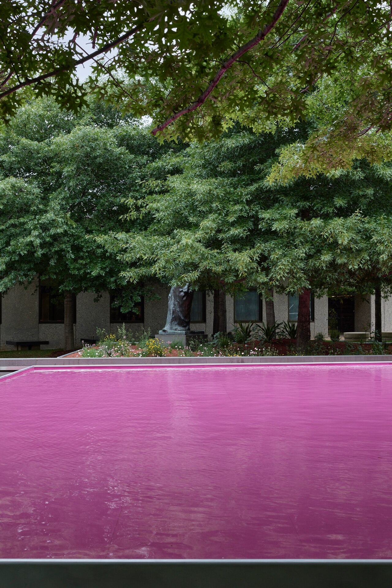 梦幻粉色池塘 · 2021 NGV 建筑奖得主-4