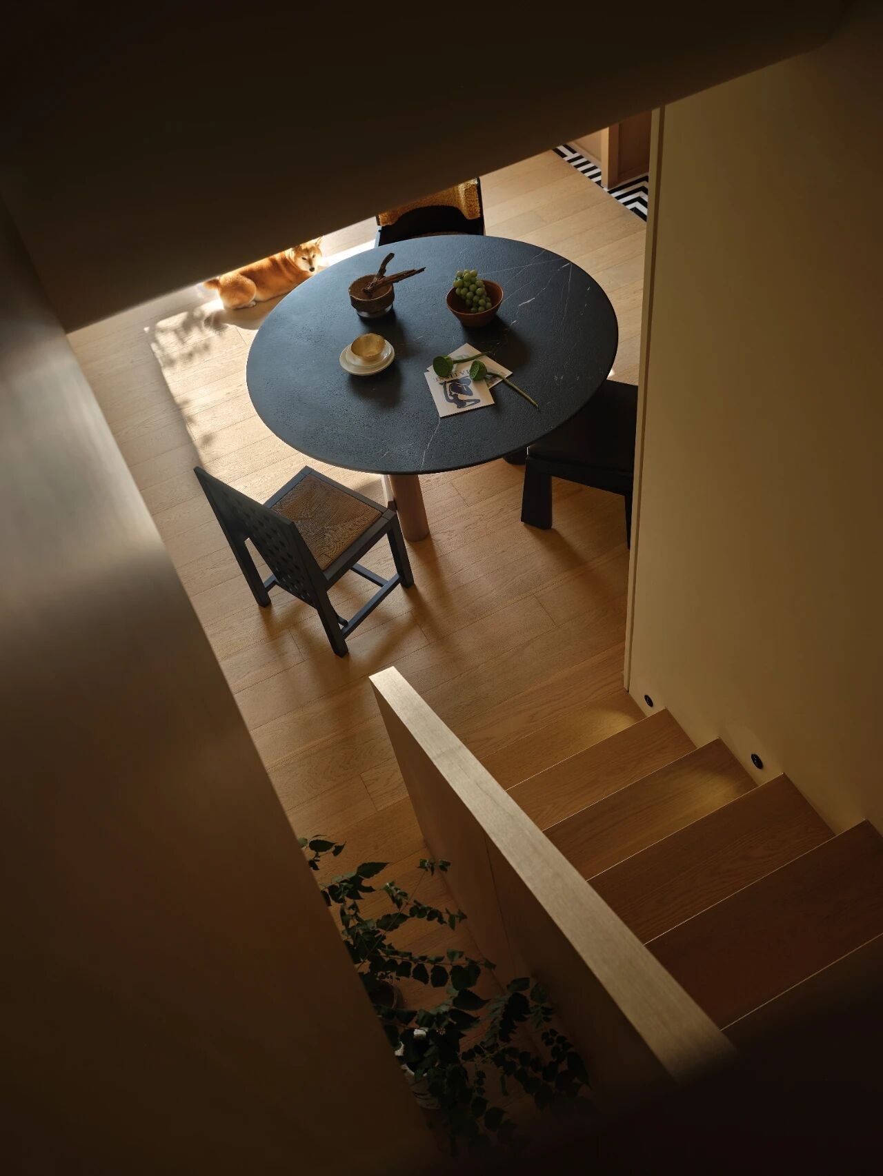 栖所:与自然和毛孩的对话丨中国南京丨读白设计-20