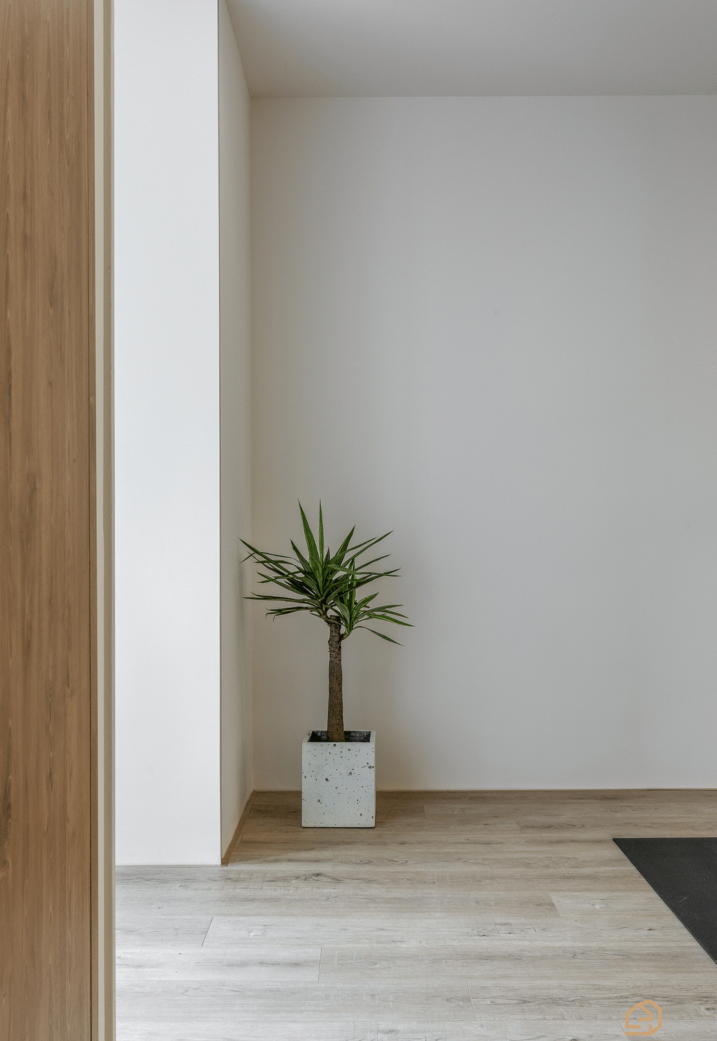 研设计 | Loop Yoga 乐朴瑜伽-11