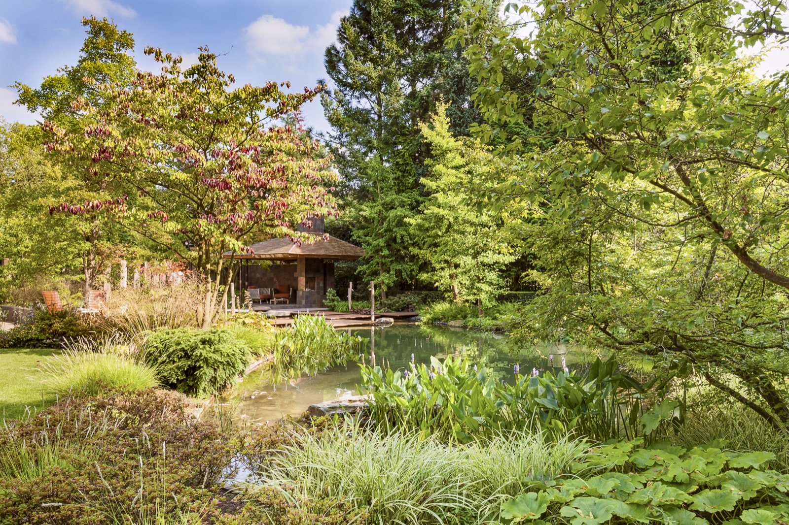 Exclusieve Japanse Watertuin-12