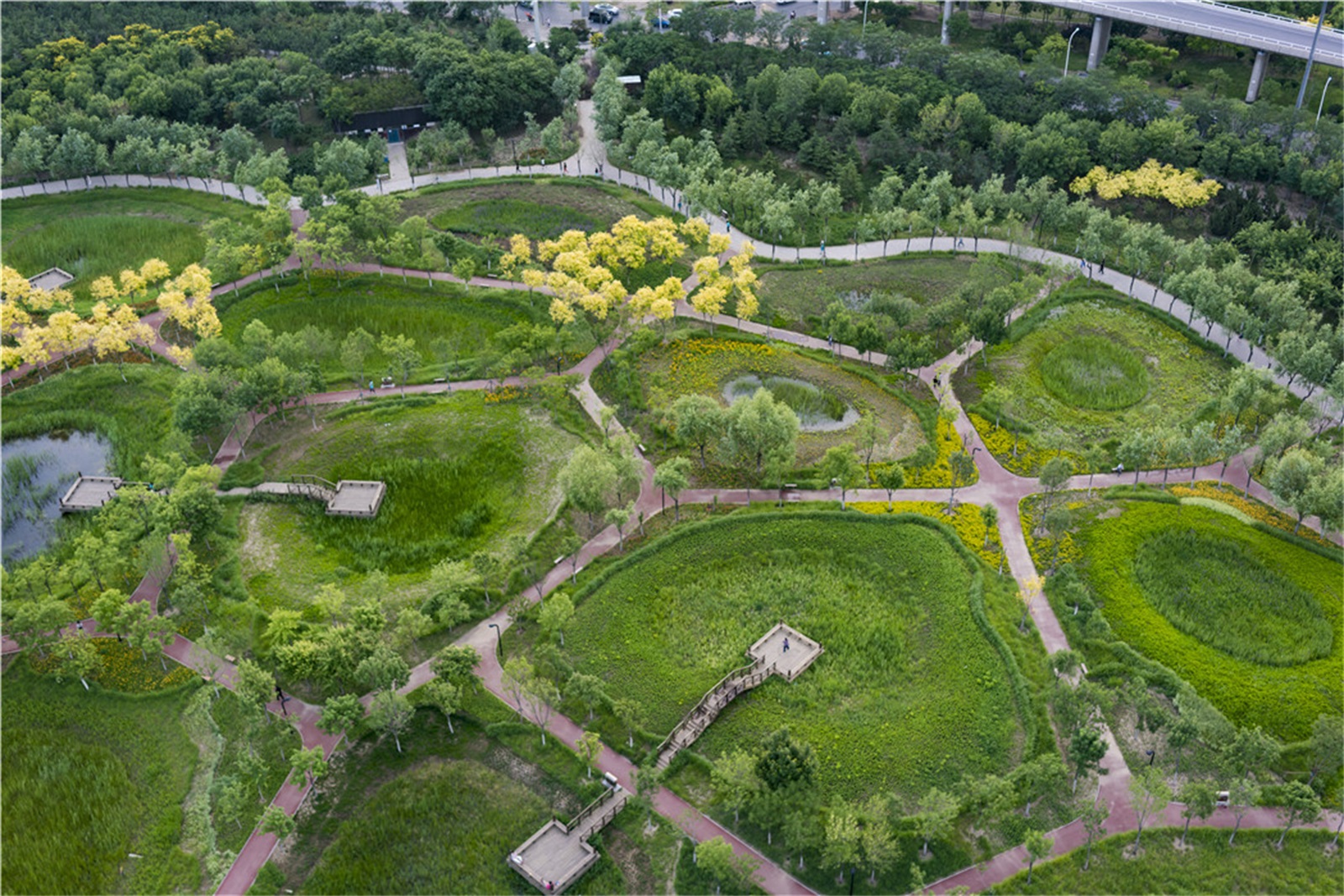 西安雁南公园（二期）丨中国西安丨土人设计（Turenscape）-189