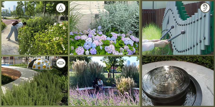 上海惠灵顿国际学校校园景观改造项目丨中国上海-54