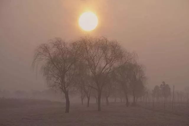 为了孩子，他们专门在城市上方建了一所会呼吸的房子！-14