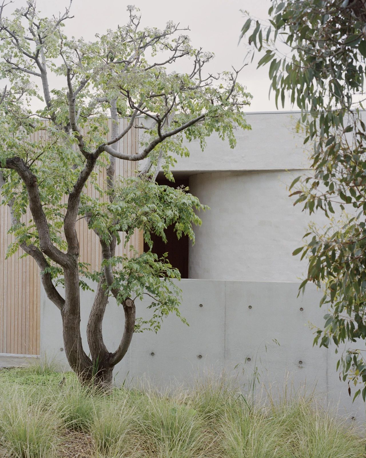 泳池房丨line architects-43