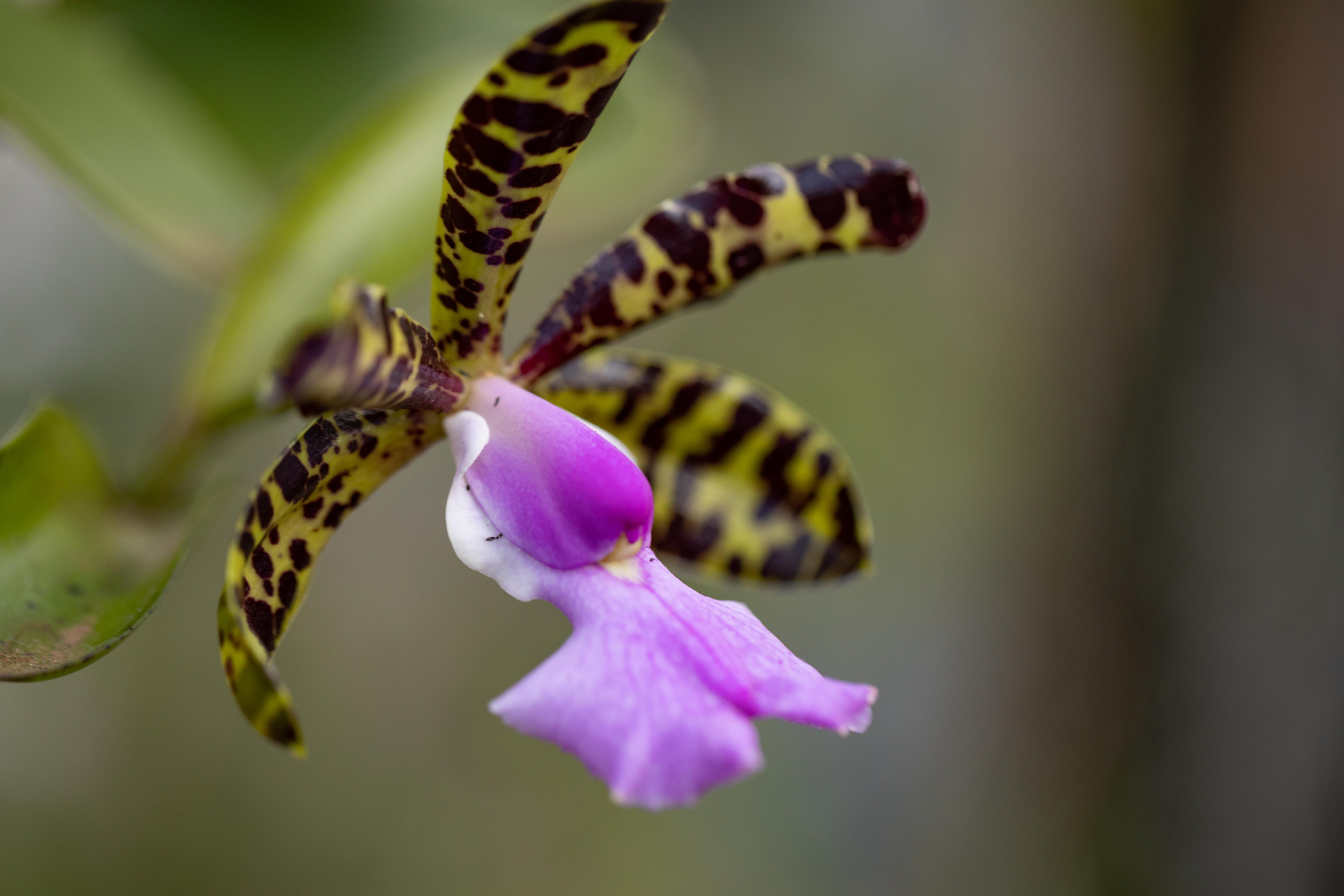 室内植物设计-25