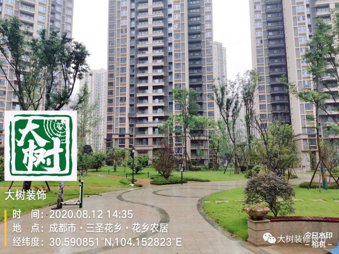 人居东城花汇小区绿化现场探秘-20