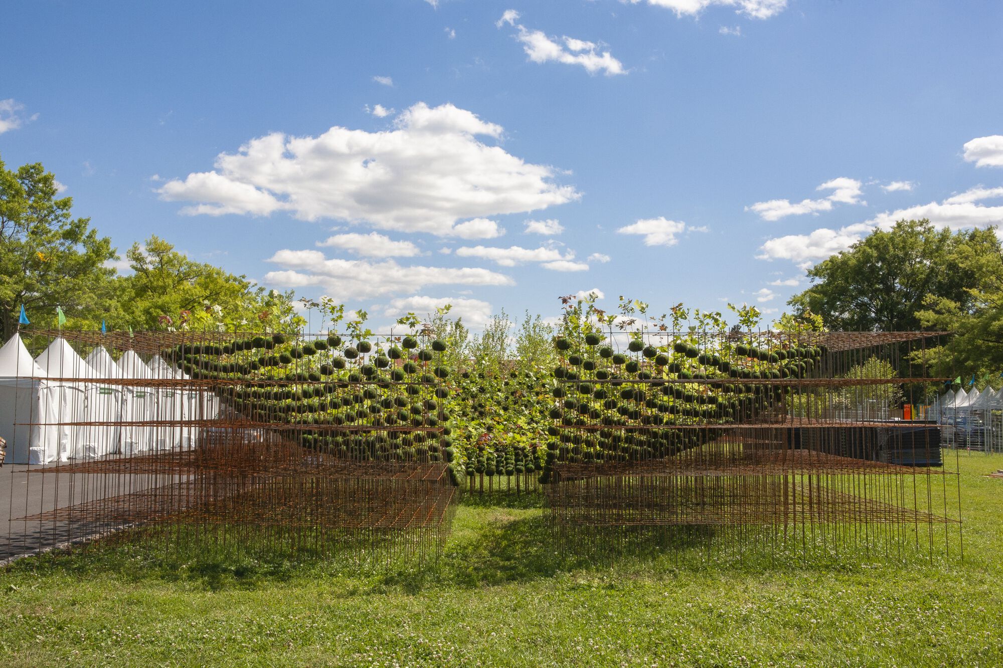 Kokedama Forest Installation，可持续微型森林雕塑-30