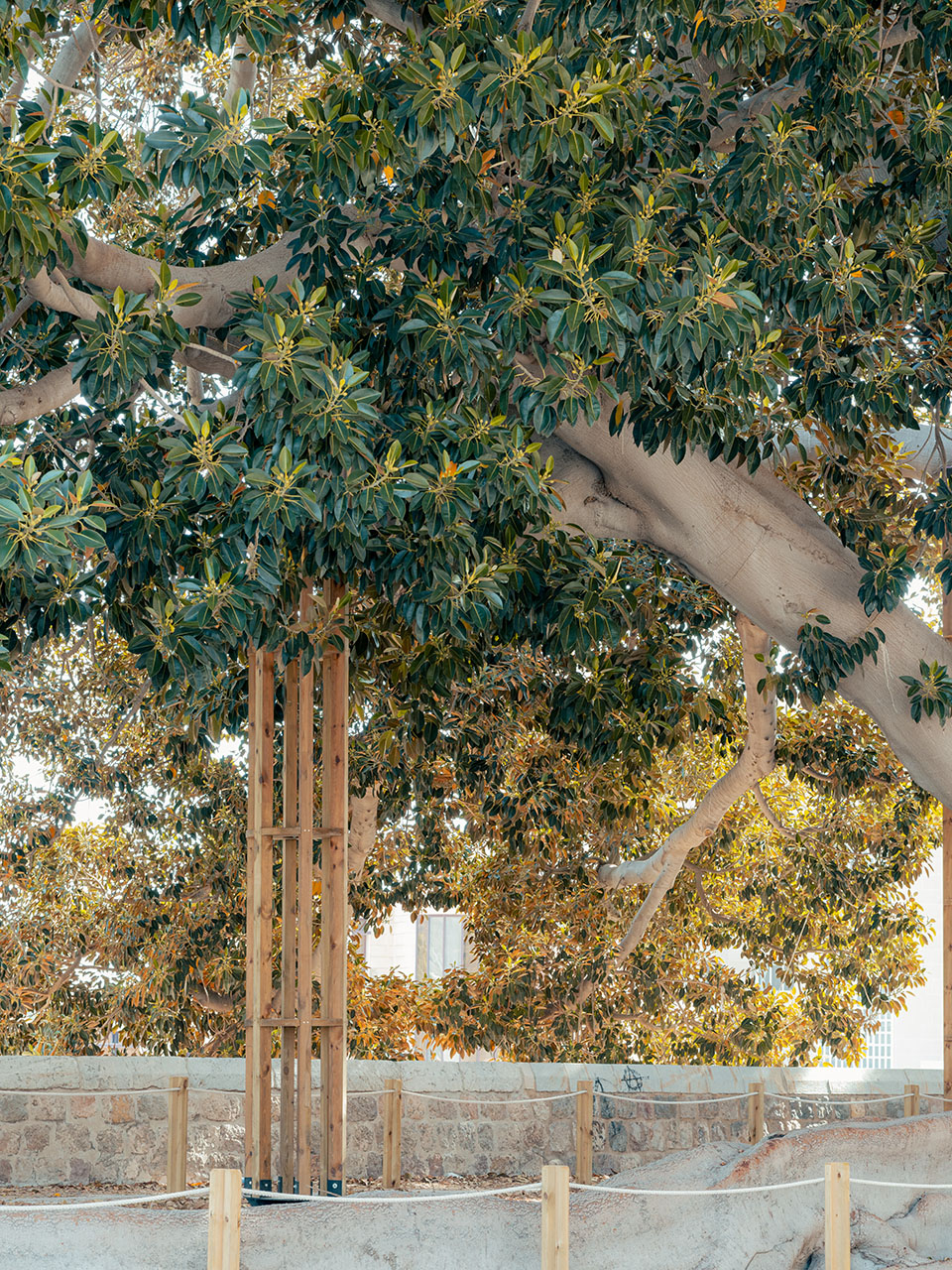 SAFE装置丨meii estudio-10