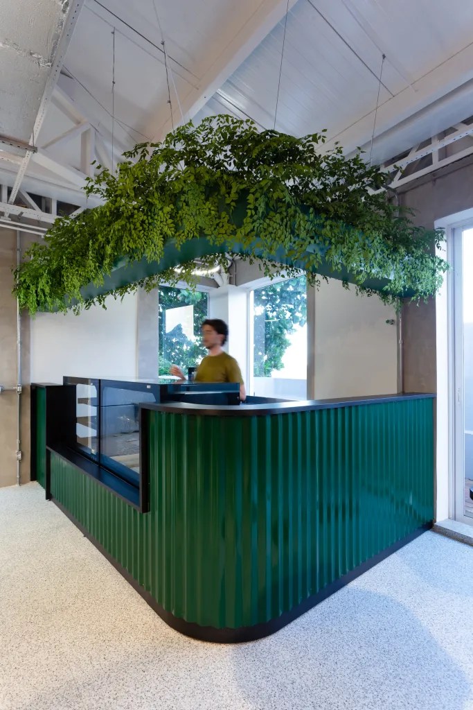 丨巴西伯南布哥-65