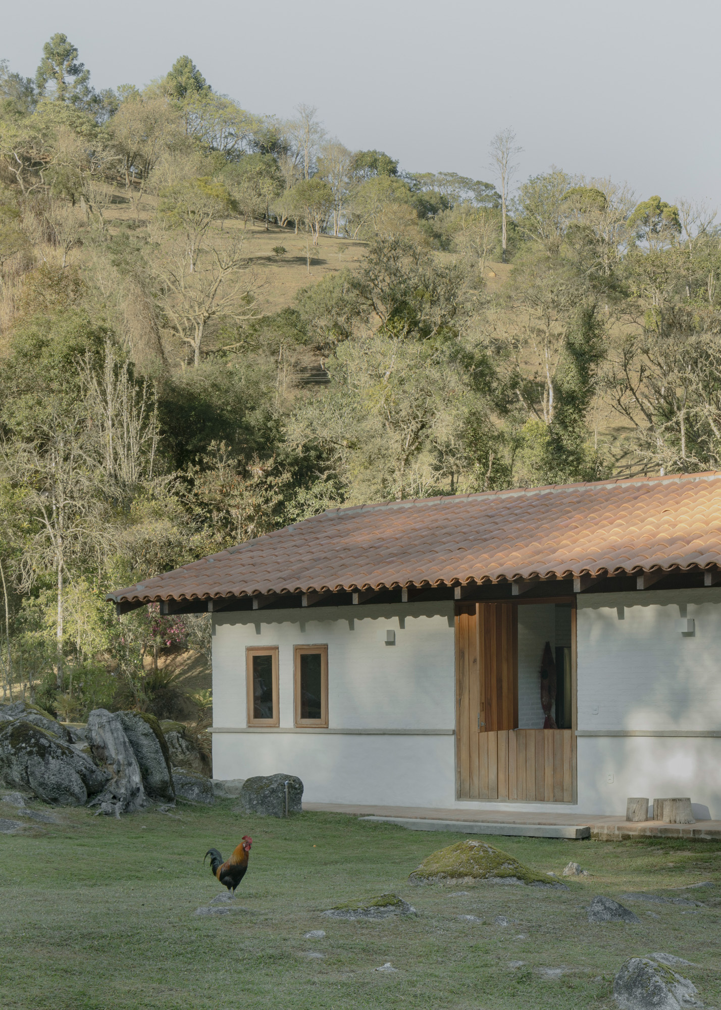 丨巴西丨messina | rivas-32