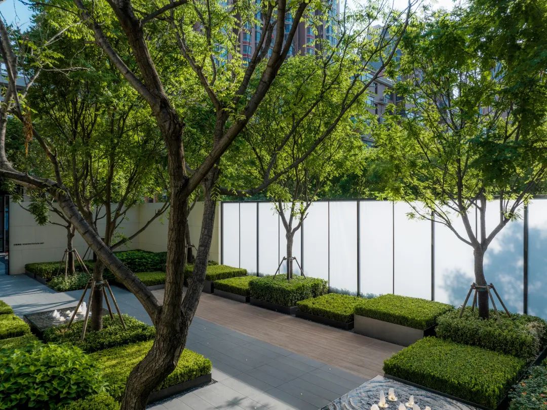 石家庄中海·汇德里示范区丨中国河北丨深圳市派澜景观规划设计有限公司-36