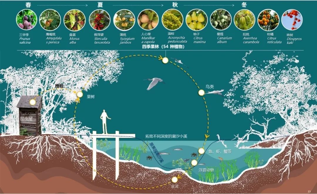 海珠湿地生物多样性保护修复工程丨中国广州丨广州市城市规划勘测设计研究院-18