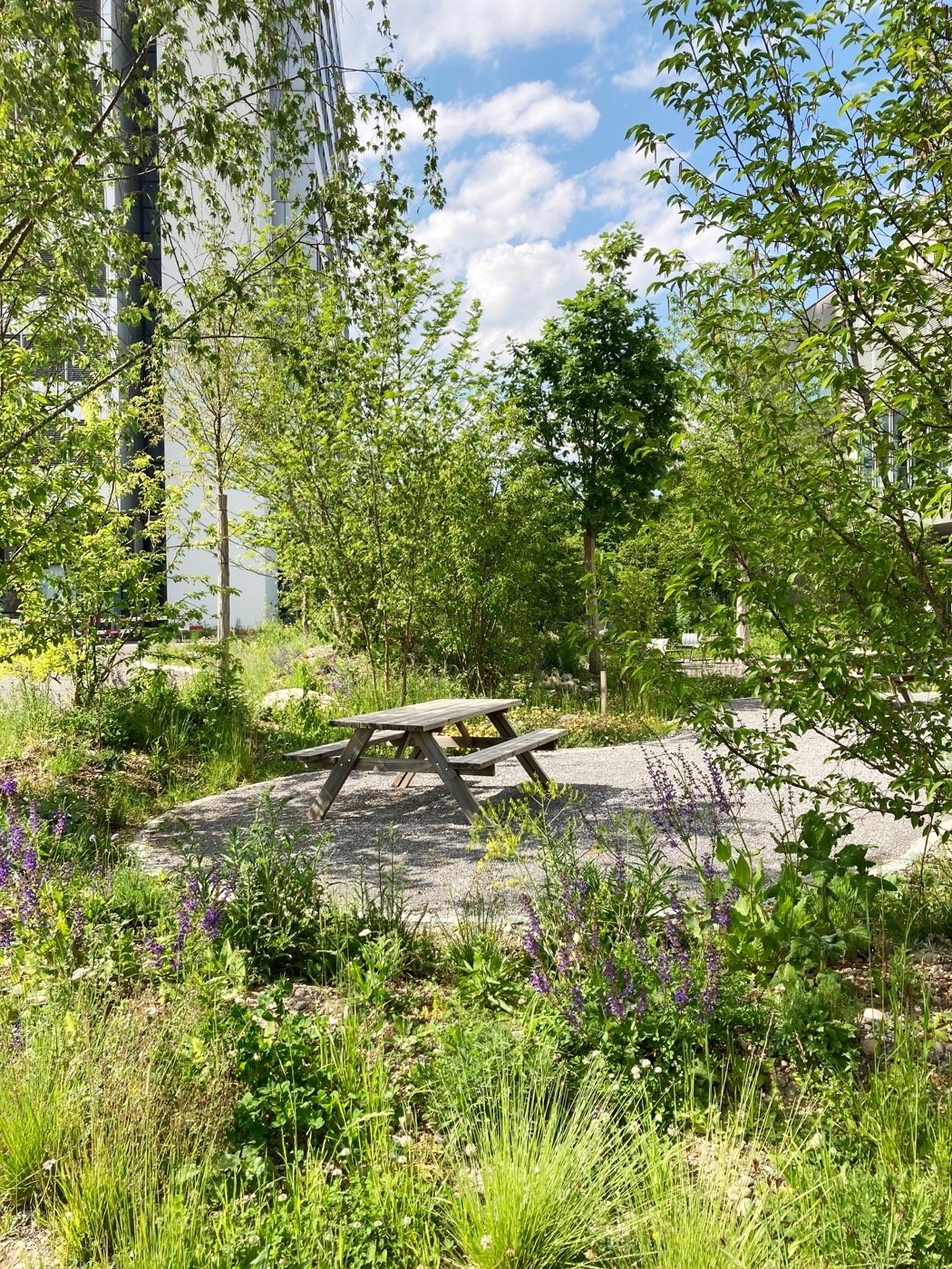 瑞士 DSM 创新校园-6