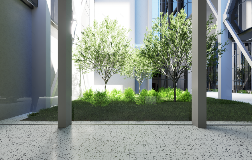 HELIX医疗研究中心丨埃及开罗-26