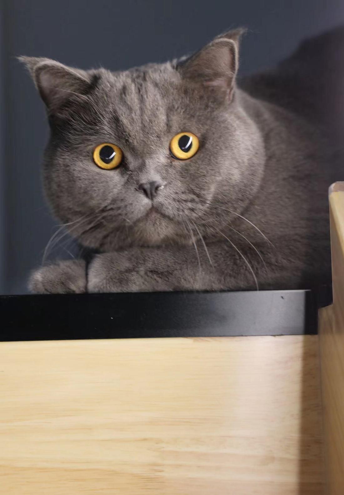 浪漫小夫妻的温馨婚房 | 简约原木与奶白系的完美融合-74