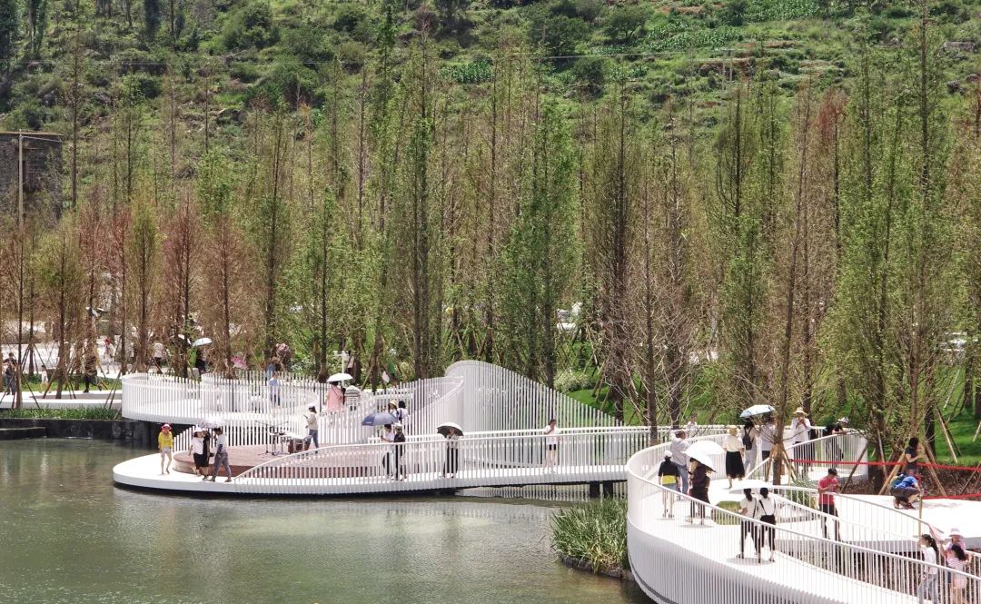 抚仙湖星空小镇 | 生态修复的人与自然和谐共生典范-18