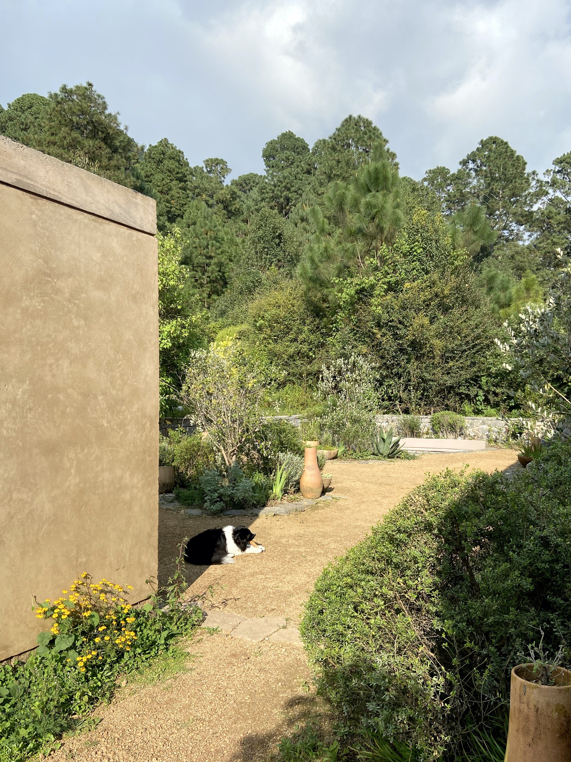 丨墨西哥丨Claudia Rodriguez,Louise Rouzaud-31