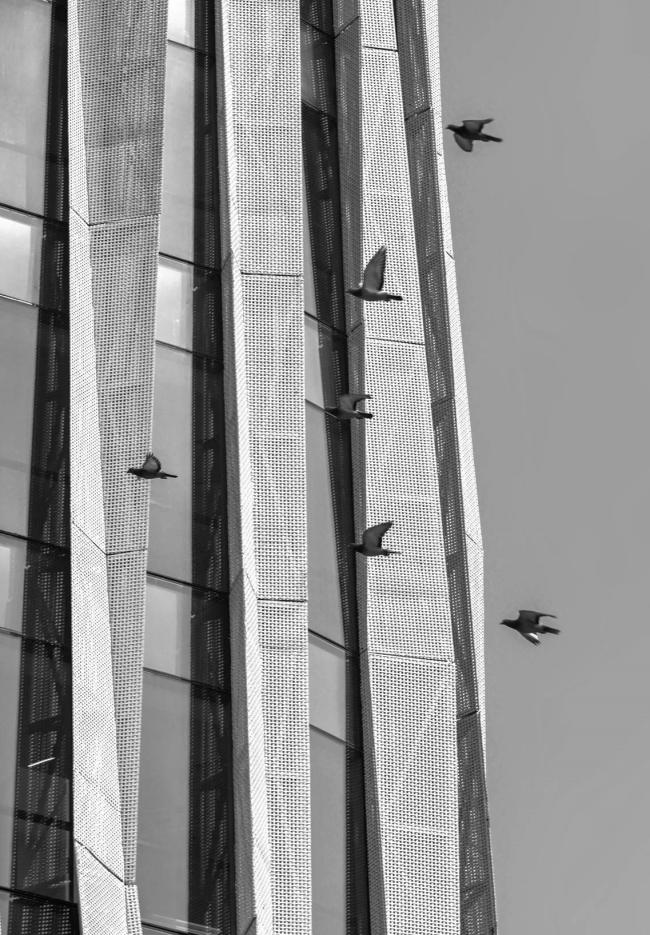 Hongkou Soho 办公塔楼丨中国上海丨Kengo Kuma & Associates-10