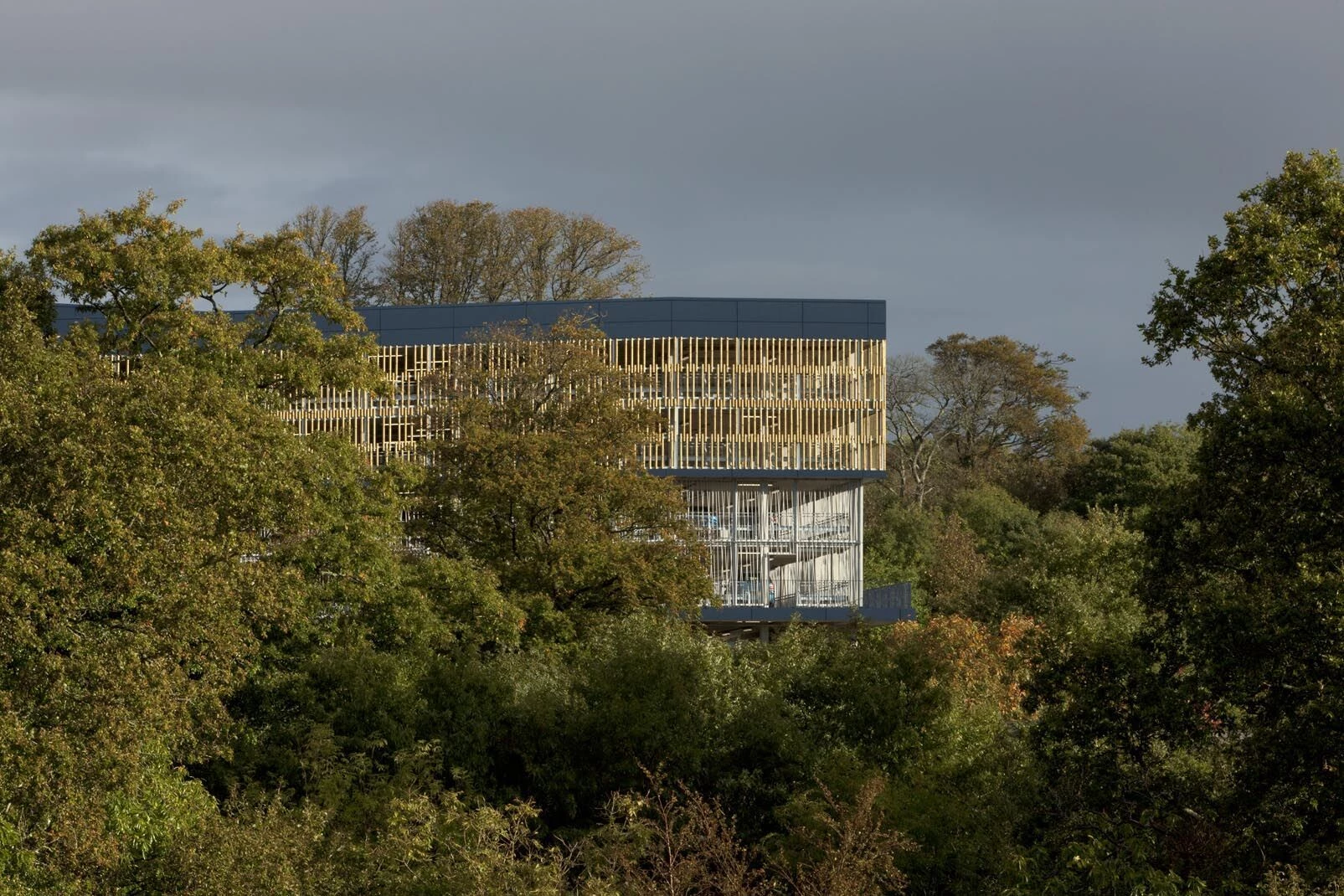 伯彻姆公园多用途服务中心-20