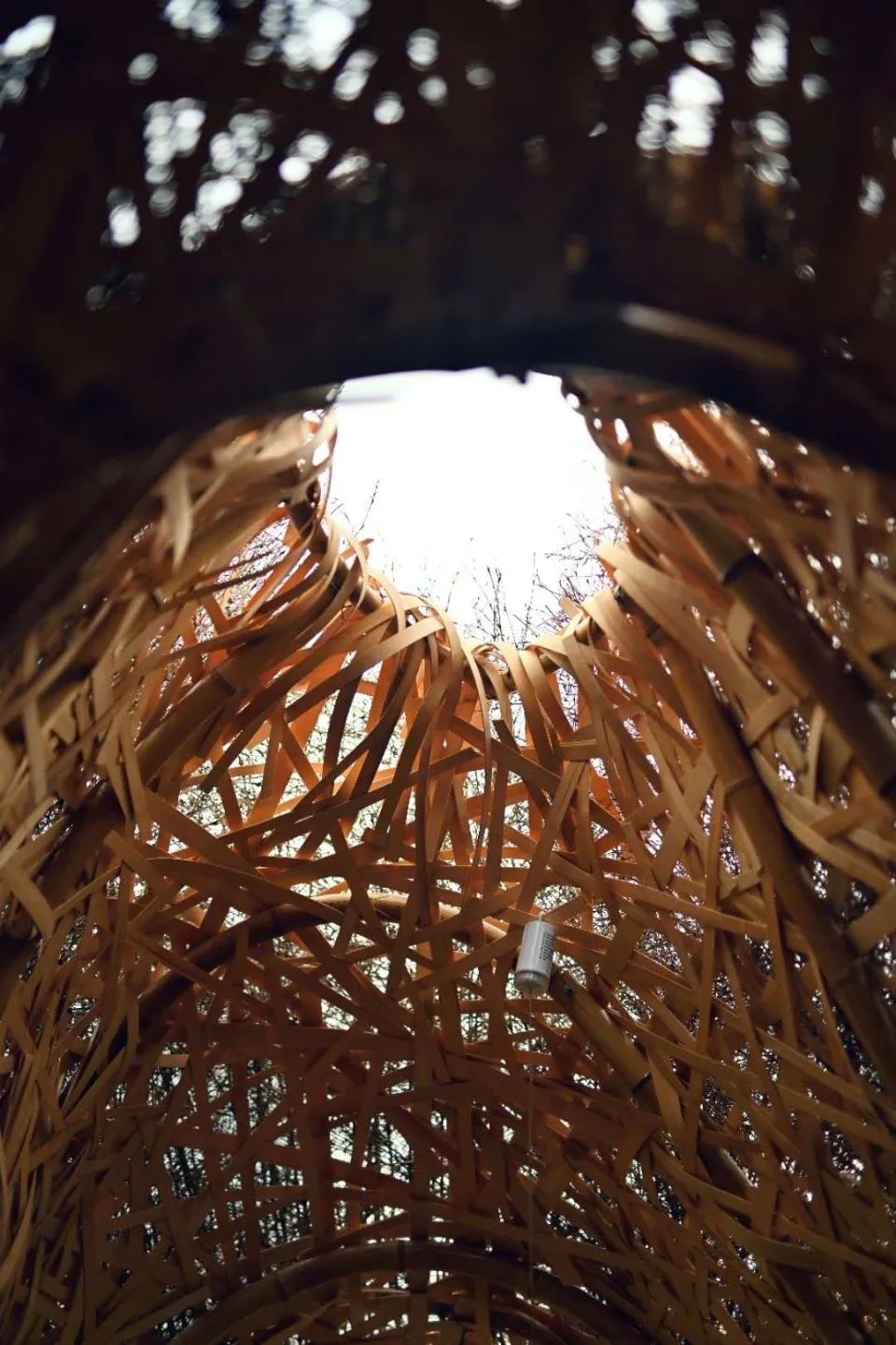 《森之秘语》 | 竹构树洞，寻觅心灵秘境-29