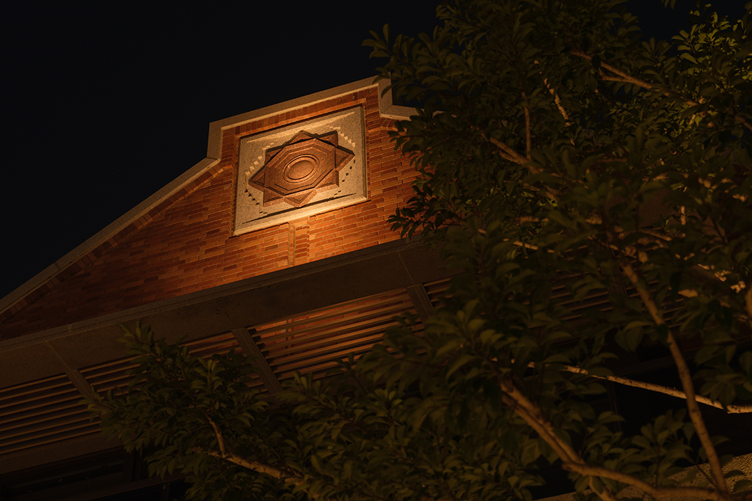 TS新作 | 瑞安·翠湖滨江光的偶遇-62