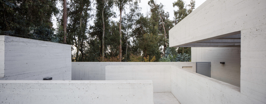 智利森林中的光影之家-24