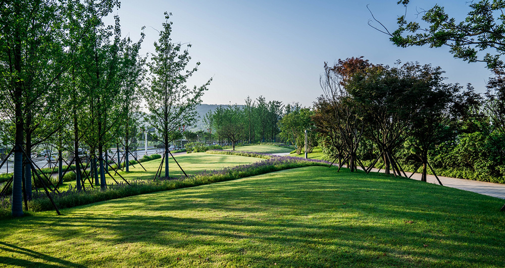 长沙金霞风光带及鹅山公园丨中国长沙丨L&A设计集团上海分公司-50