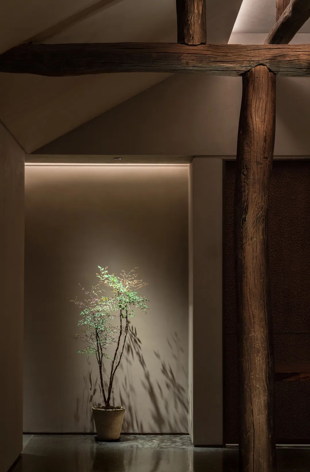 禾苑金融街店-策略餐饮系列 | IN.X屋里门外-16