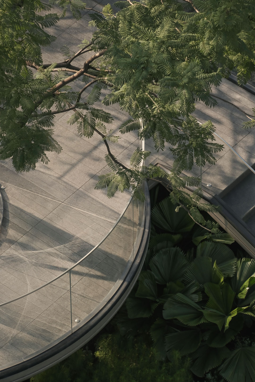 JTL加特林|漂浮岛屿·天空花园-香港置地·启元-9