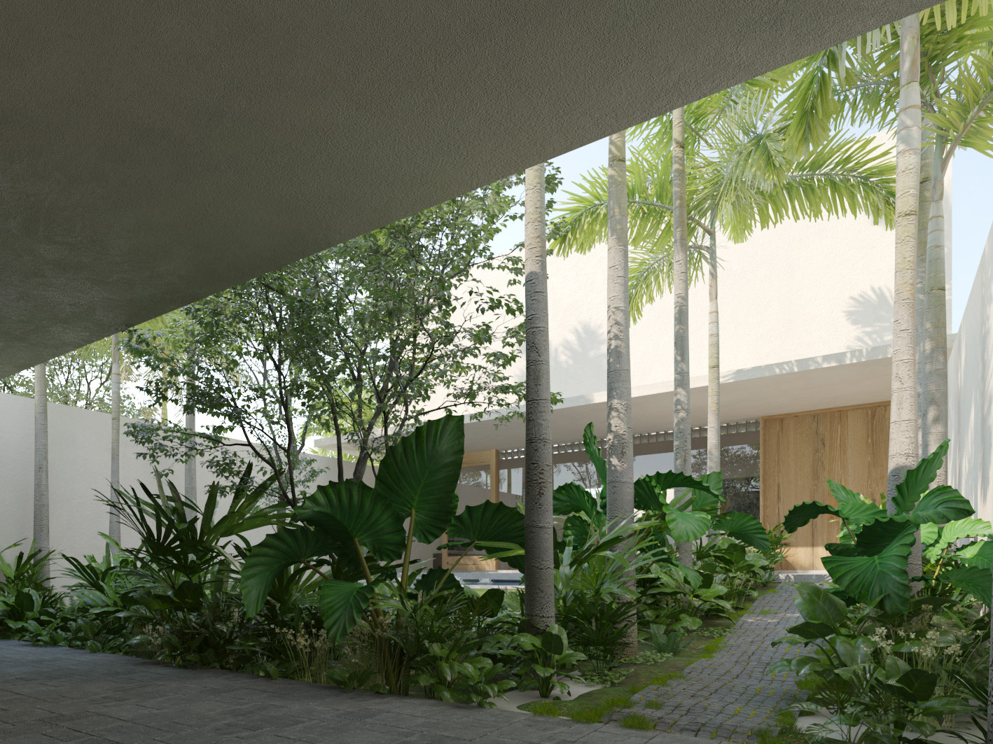 龙岩洞3号（注：Longcave在没有更多背景信息下当作专有名词音译，若有特定背景可对应调整） 丨23o5studio-13