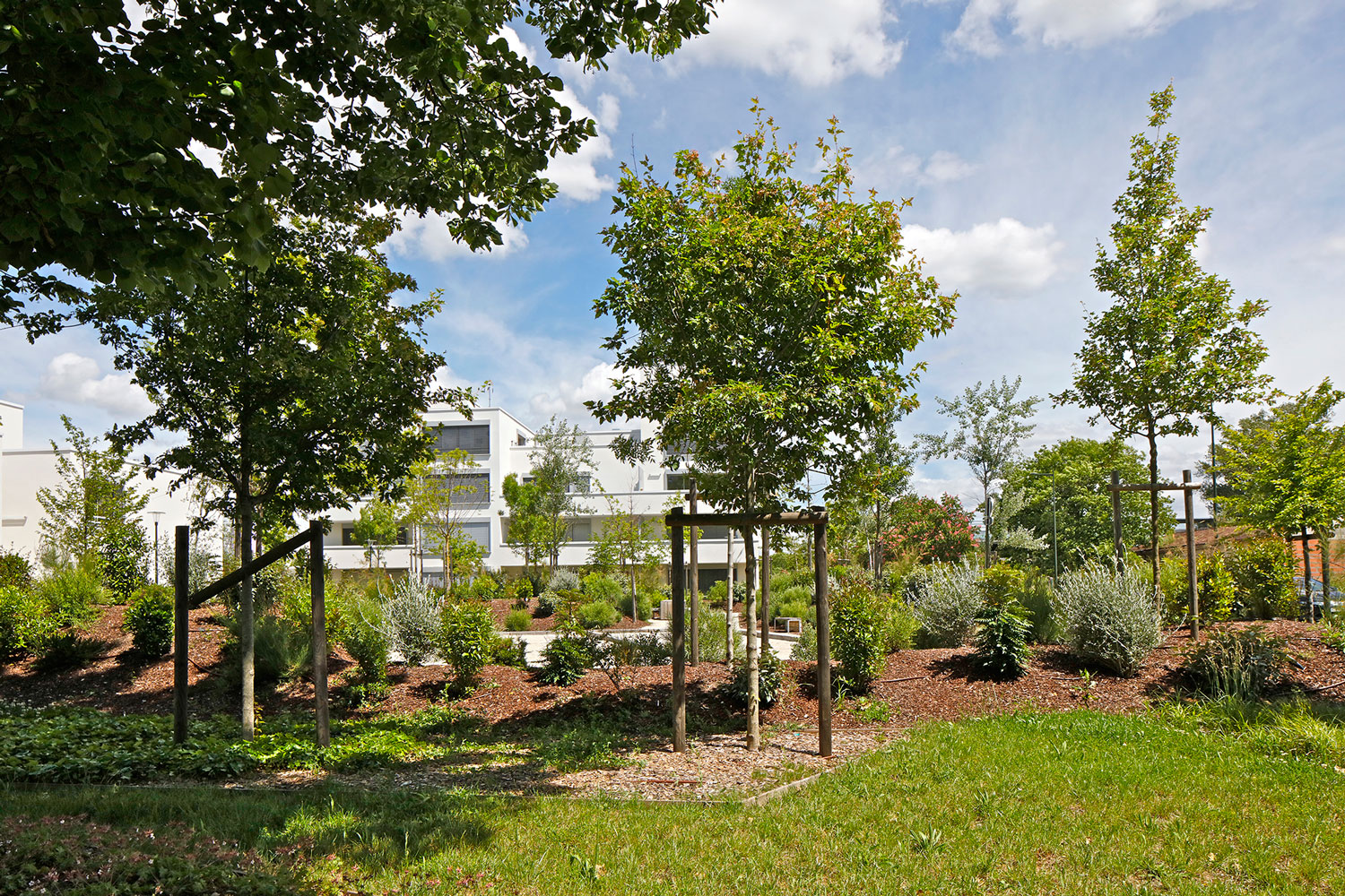 法国绿色公园-16