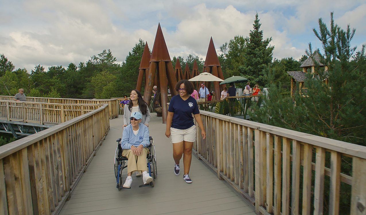 野性漫步 · 融入自然的高空步道设计-24