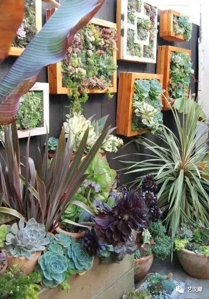 创意多肉墙 | 绿色装饰的艺术魅力-4