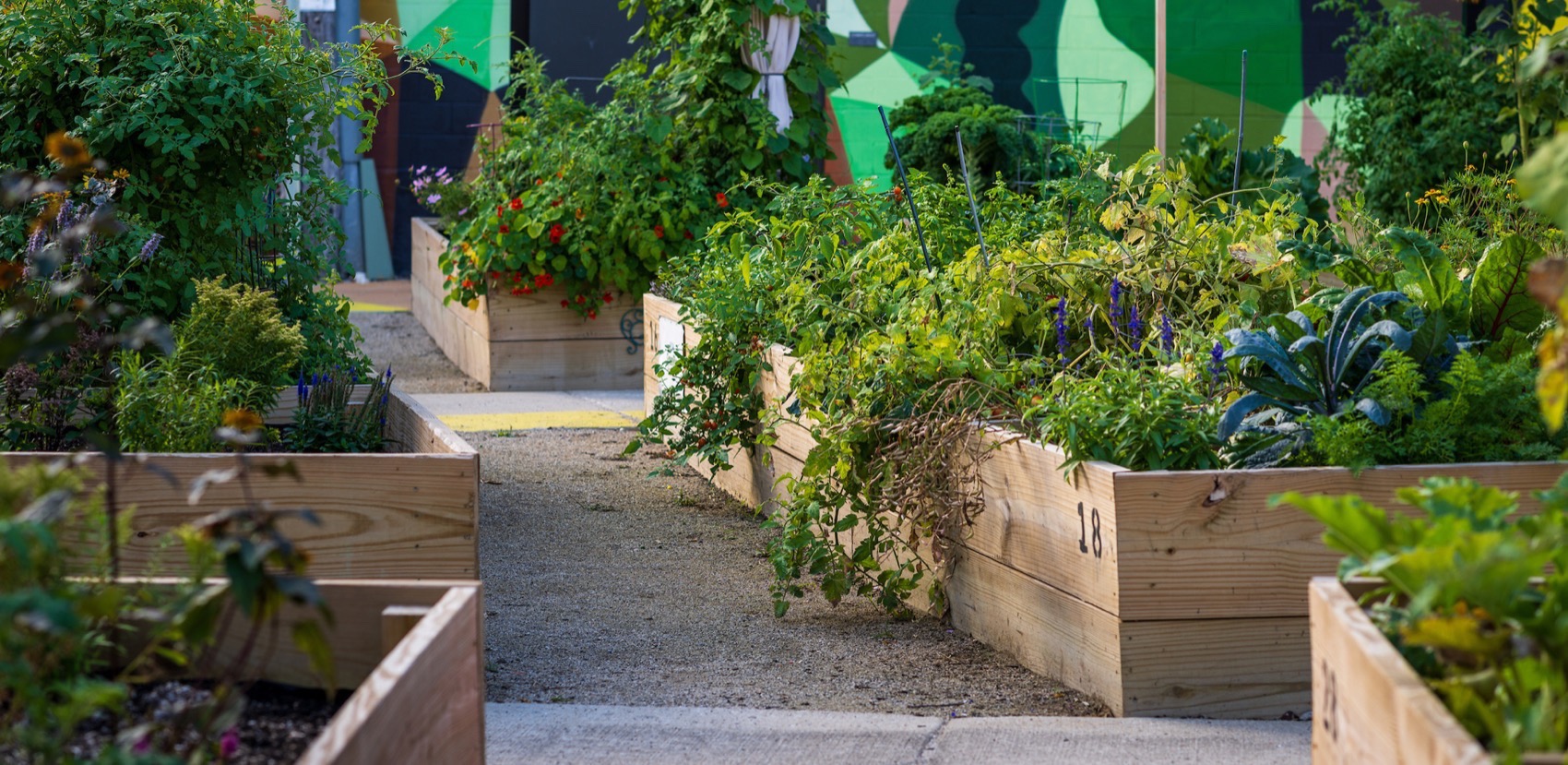 打造社区弹性:一座公平性的花园转型丨美国芝加哥丨MKSK,Inc.-27