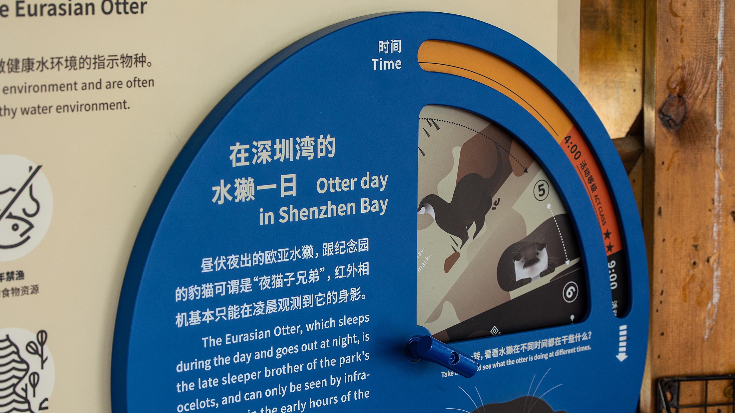 深圳红树林生态公园户外科普互动导视设计丨中国深圳丨共生领域(北京)文化传媒有限公司-50