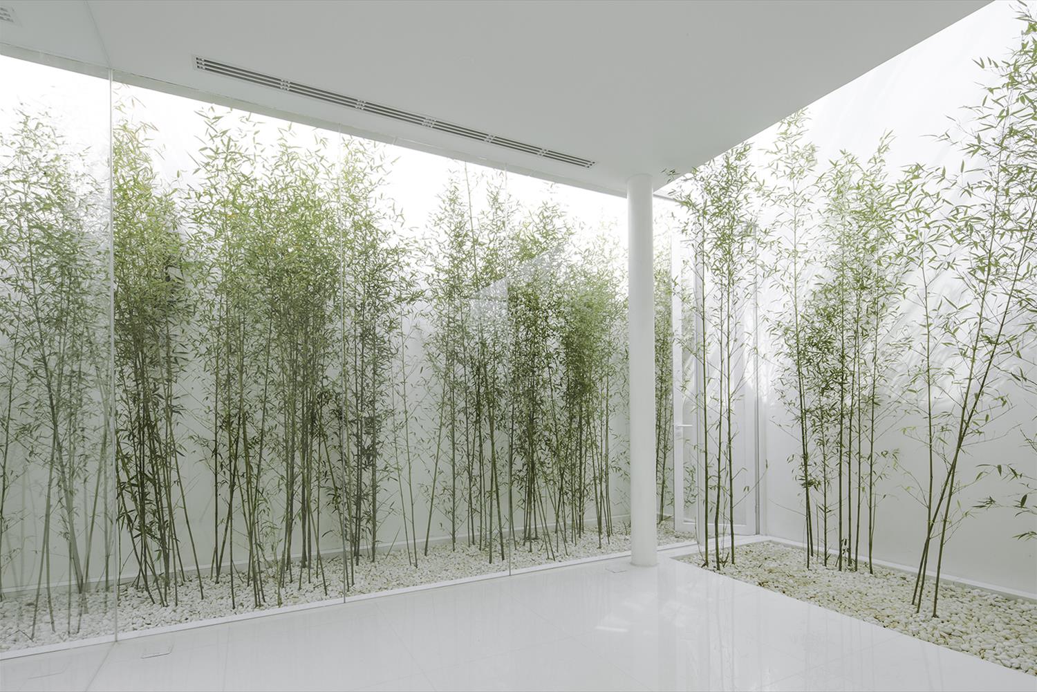 竹林天台 | 商业空间的自然之美-8