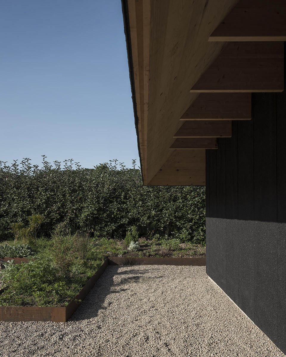 两位艺术家的房子-19