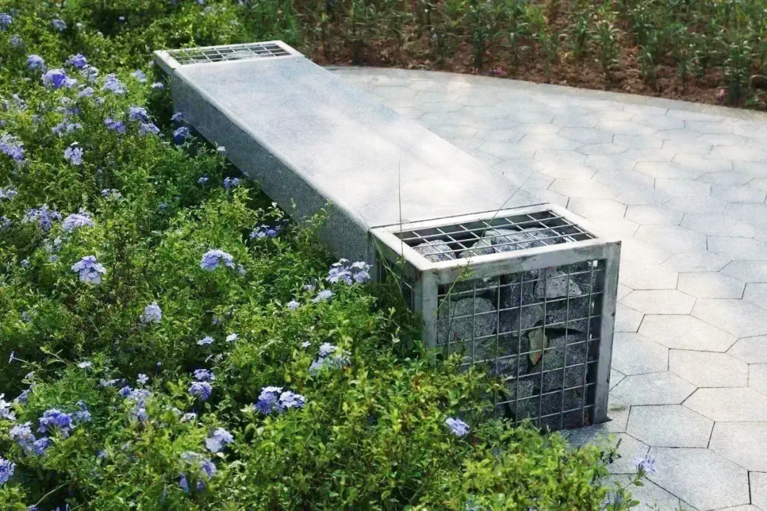 广州南岗河生态修复项目丨中国广州丨AECOM团队-63