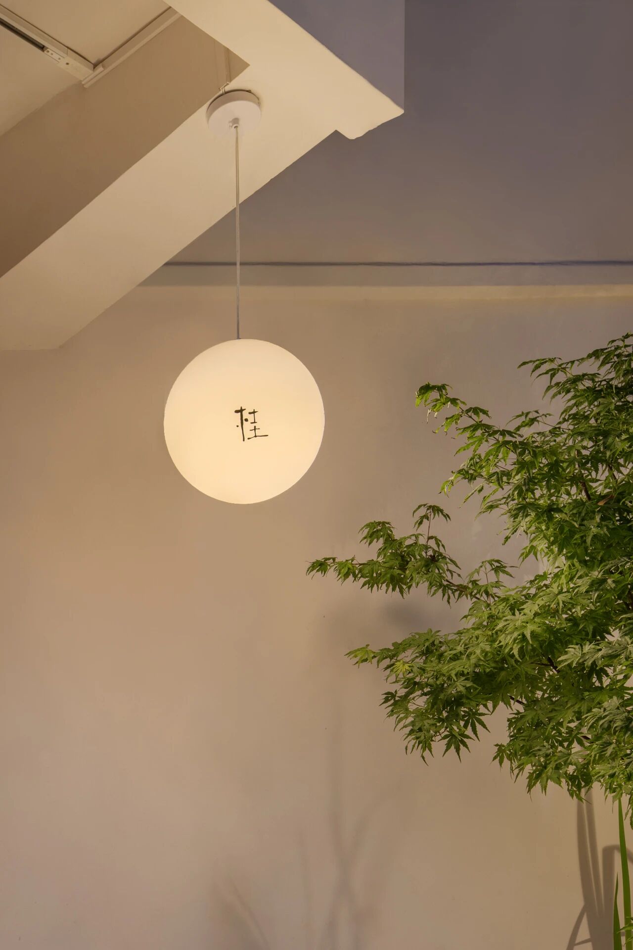 Osmanthus · 桂 · 山中料理丨中国杭州丨杭州观堂室内设计有限公司（空间）,寸村传媒（标识）-100