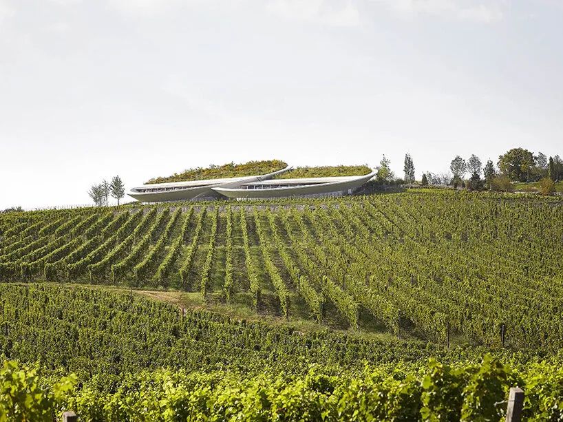 绍什卡·托卡伊酒庄丨匈牙利-4