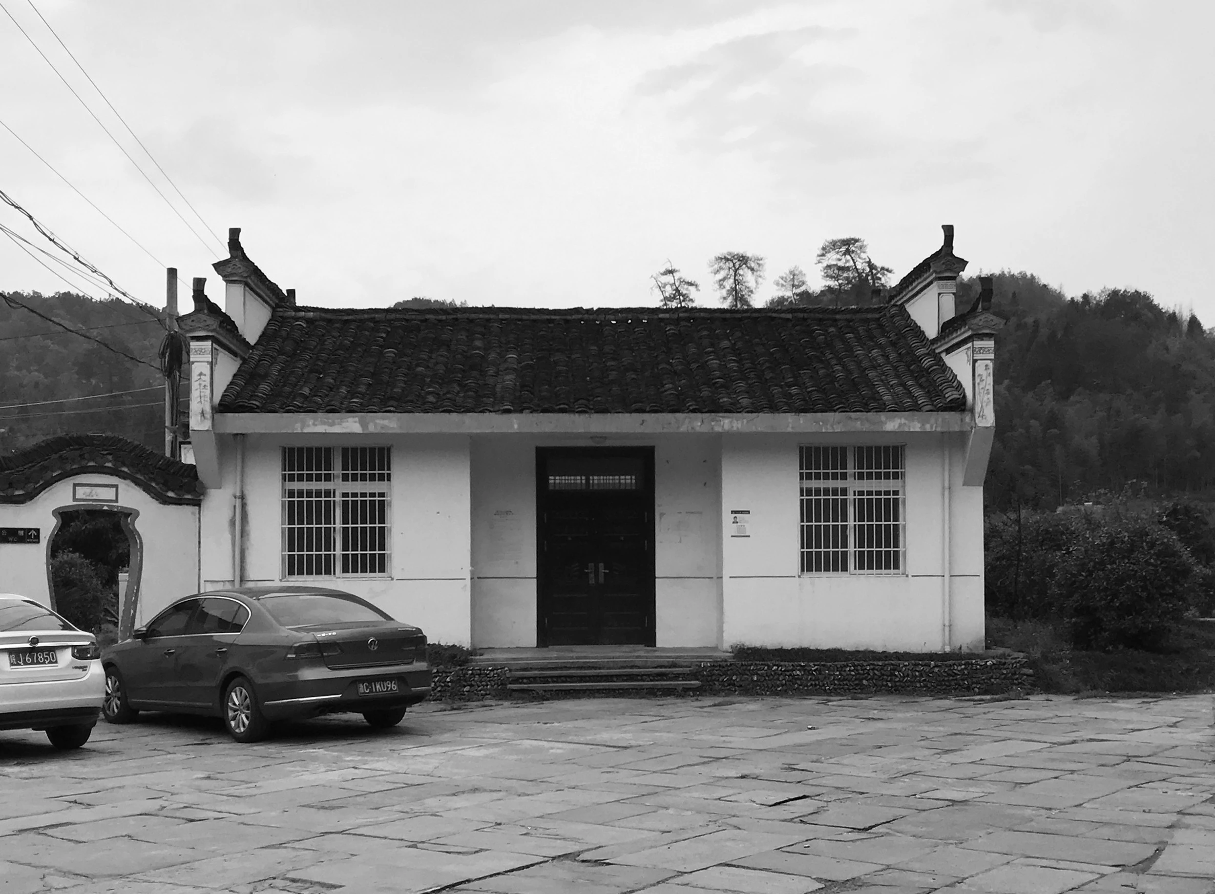 家族大厅 X·树下对真理的追寻-47