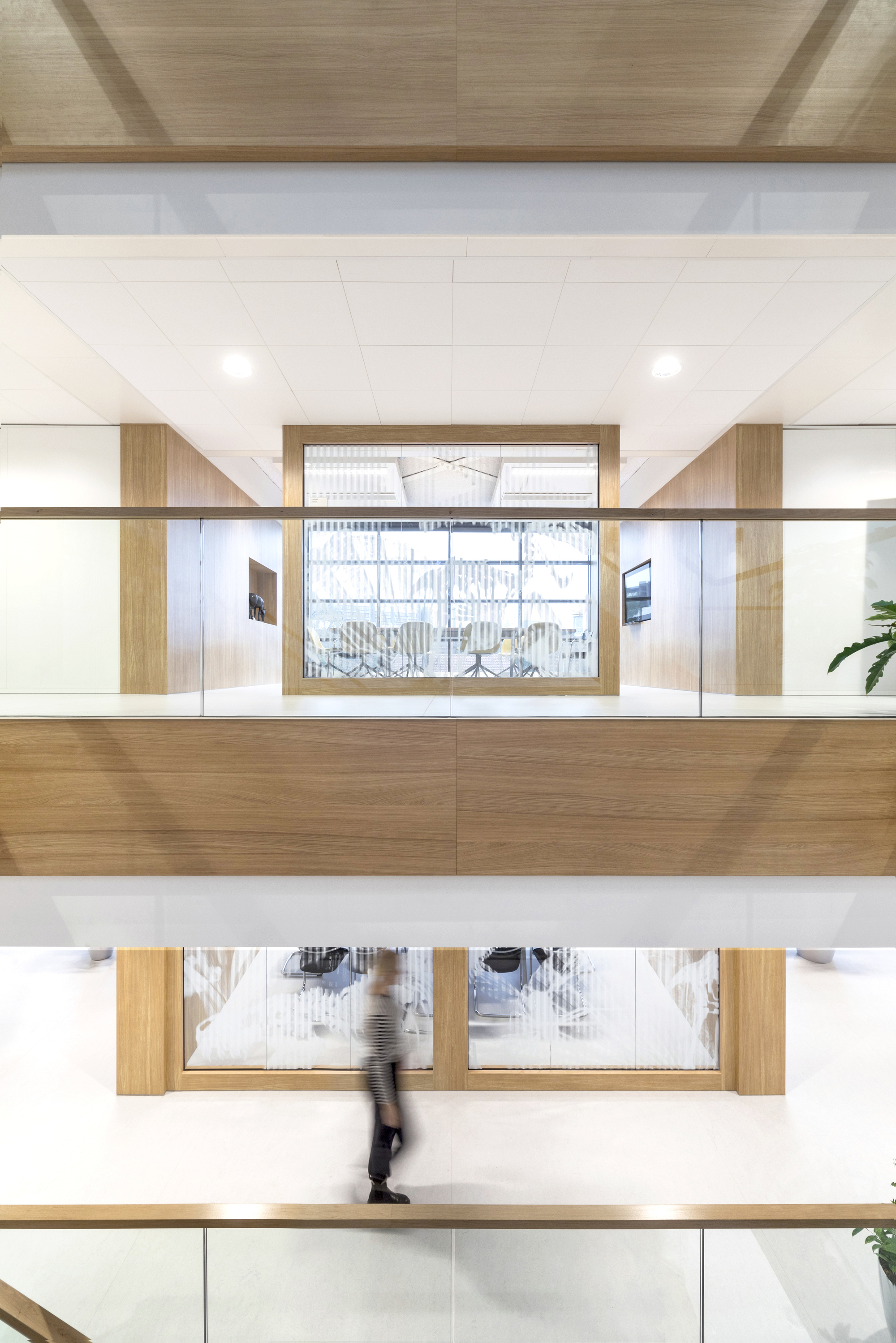 Naturalis Biodiversity Center / Hollandse Nieuwe-32