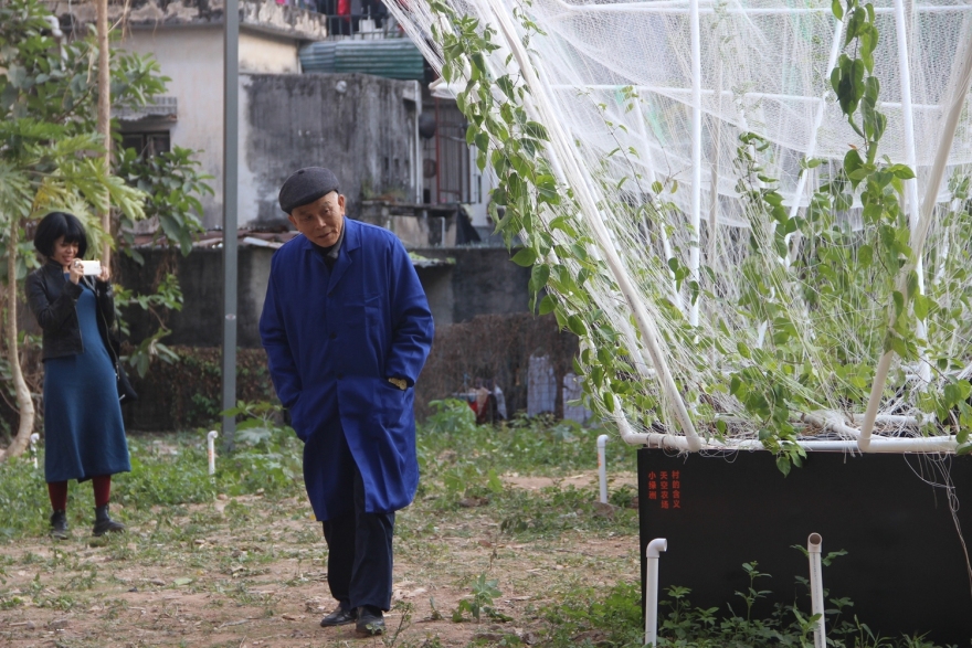 深圳天际农场 · 农民智慧融入城市更新-30