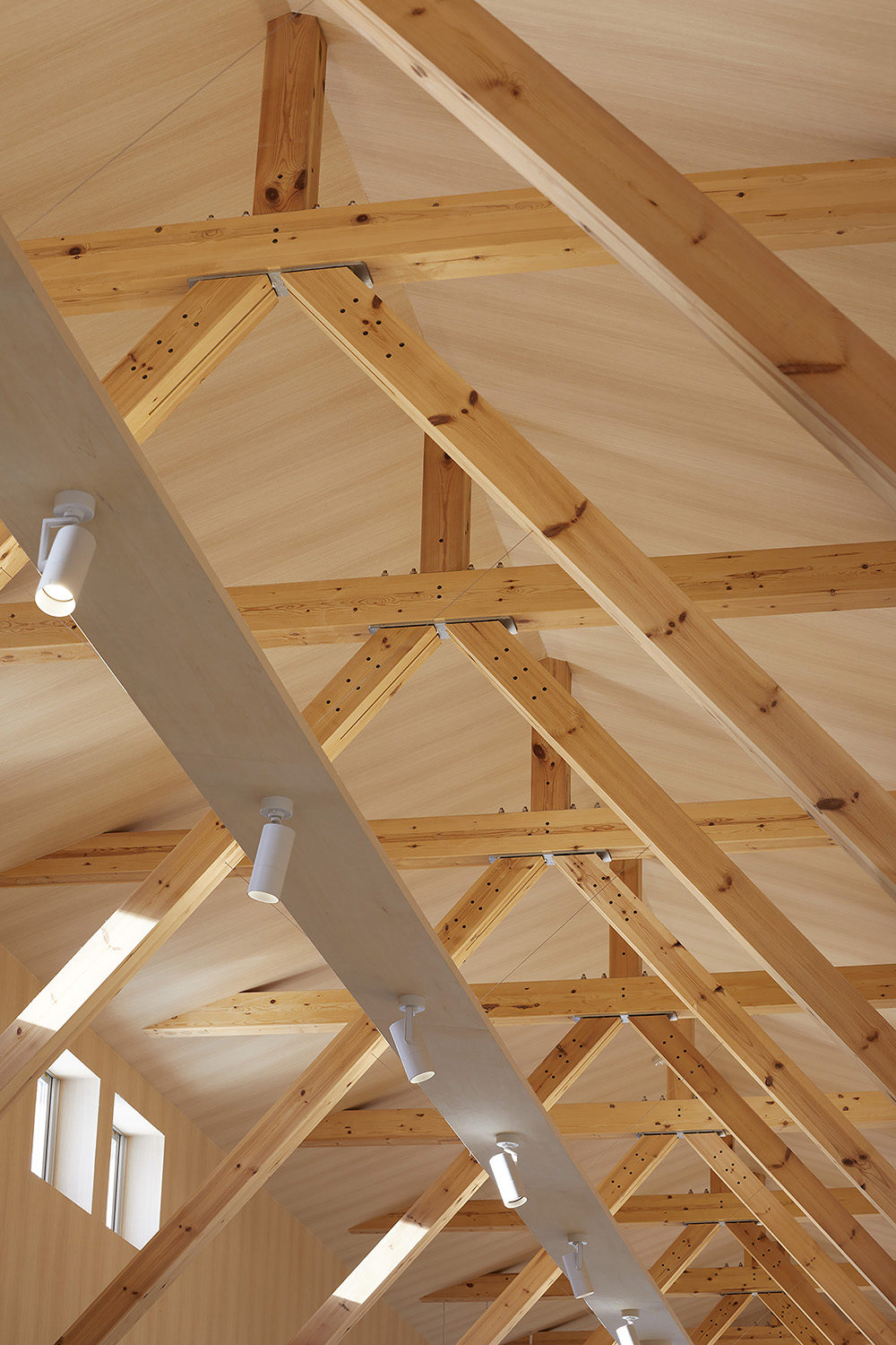 青木，仙台水果之巅（这里fruits peaks直译为水果之巅，但可能在具体语境中有更合适的名称，若aoki是人名可译为青木 ） 丨tomito architecture,ASD,FDS等-52