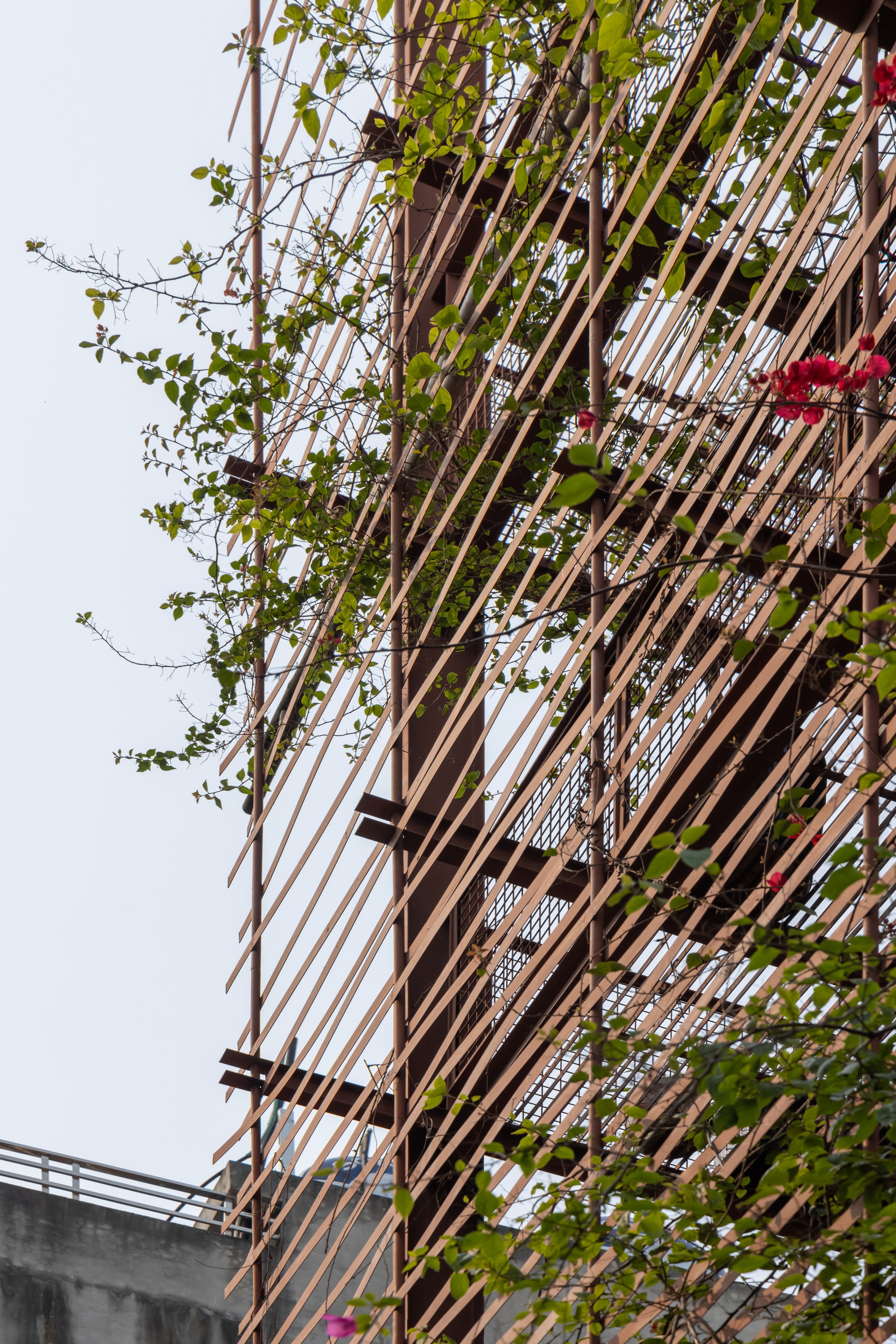 loft公寓丨越南河内丨Atelier 12-46