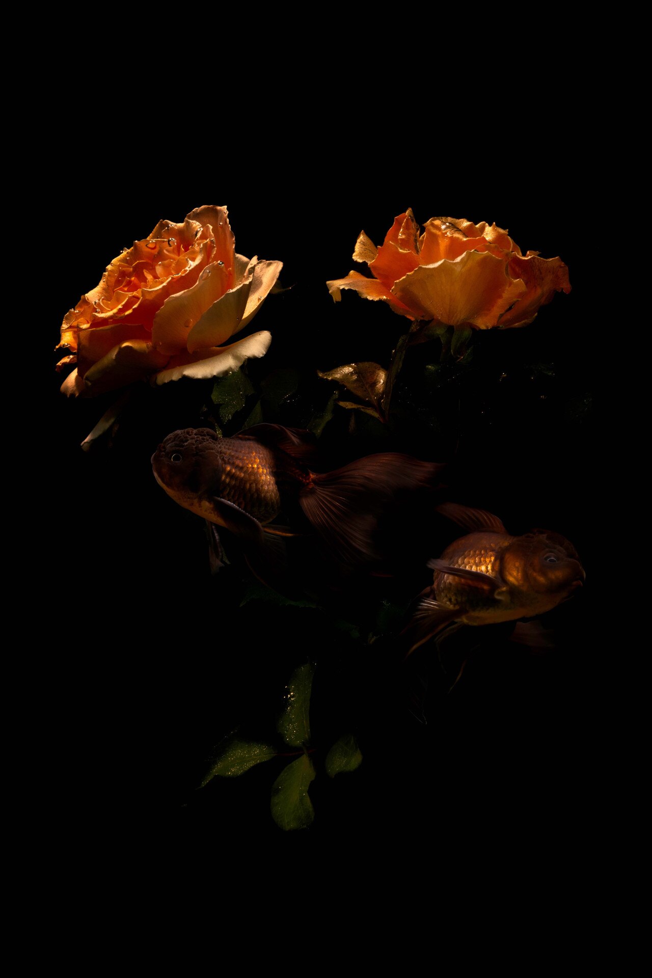 The Melbourne artist hiding darkness inside scenes of captivating beauty-5